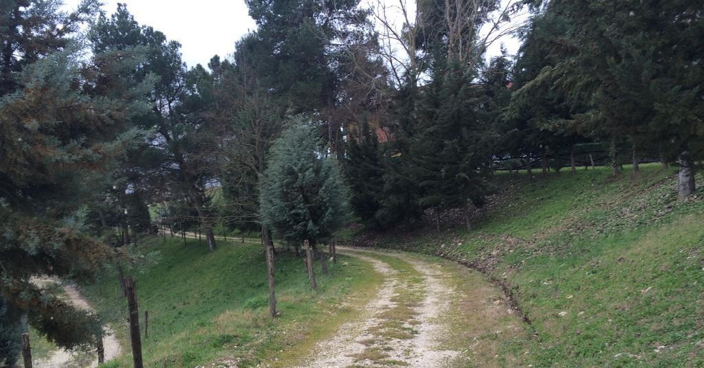 D.g. Garden Hotel Benevento